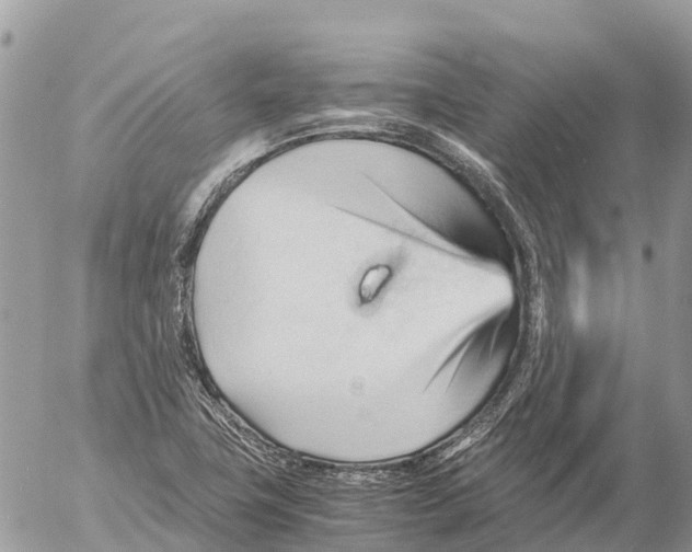 X0000053091411200508081259