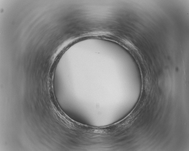 X0000053091412200508081259