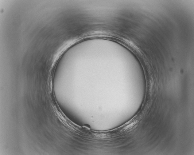 X0000053091413200508081259