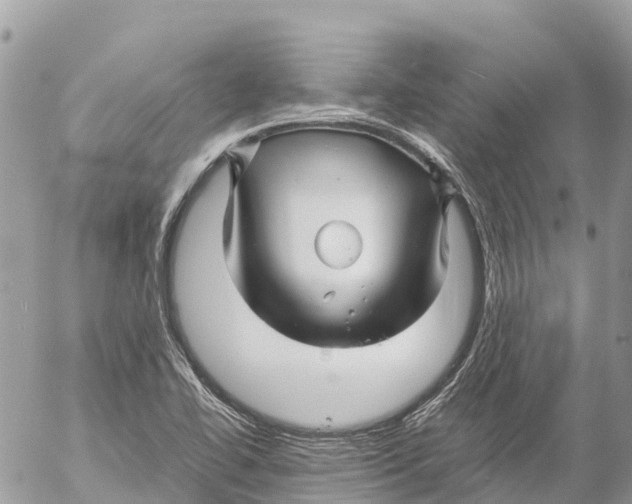 X0000053091414200508081259