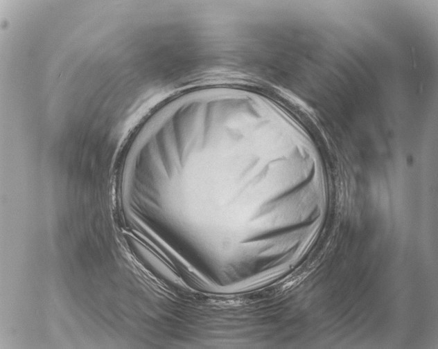 X0000053091415200508081259