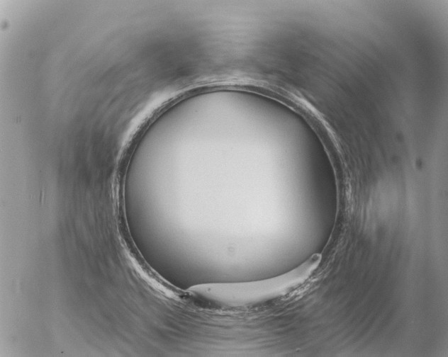 X0000053091416200508081259