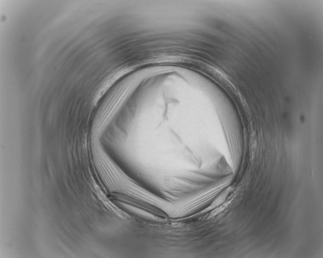 X0000053091417200508081259