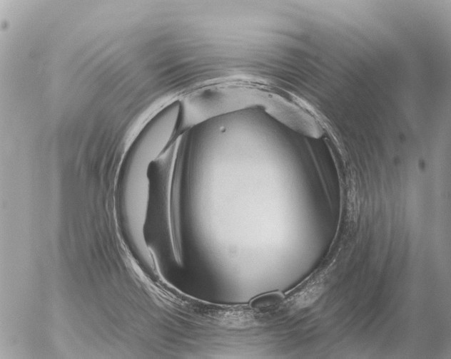 X0000053091418200508081259