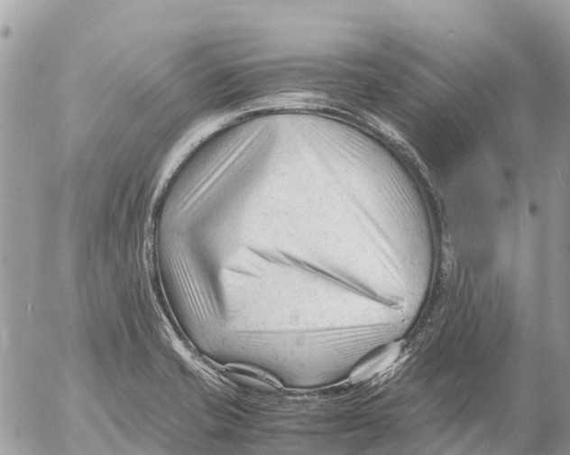 X0000053091421200508081259