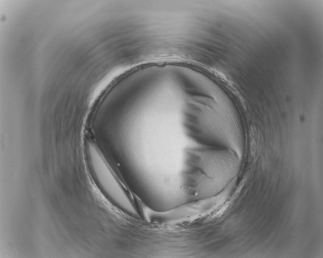 X0000053091422200508081259