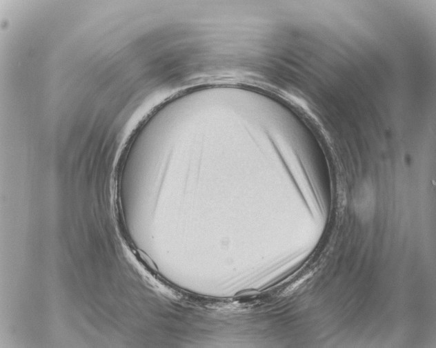 X0000053091424200508081259