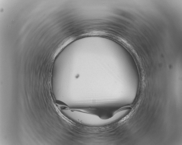 X0000053091425200508081259