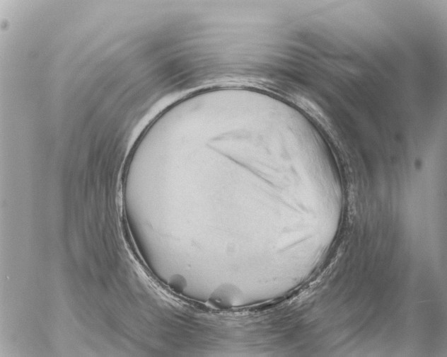 X0000053091428200508081259