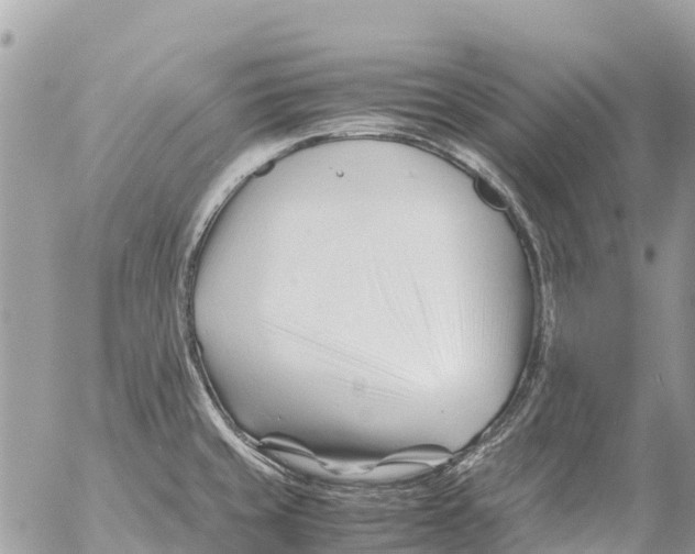 X0000053091429200508081259