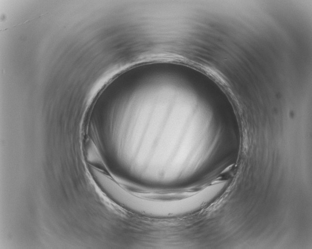 X0000053091430200508081259