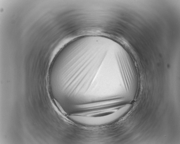 X0000053091432200508081259