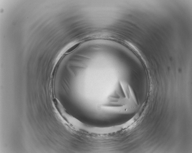 X0000053091434200508081259