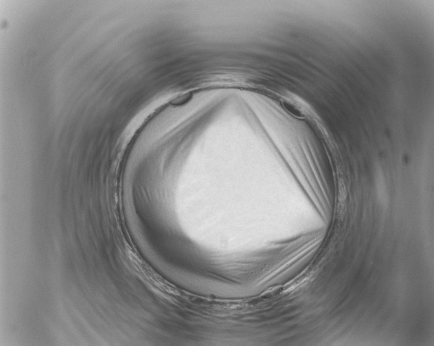 X0000053091435200508081259