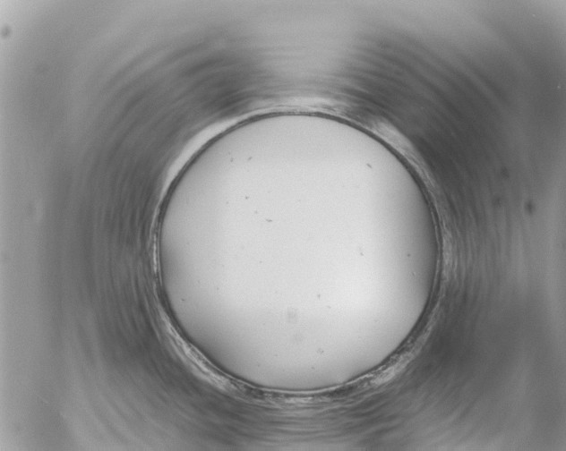 X0000053091436200508081259