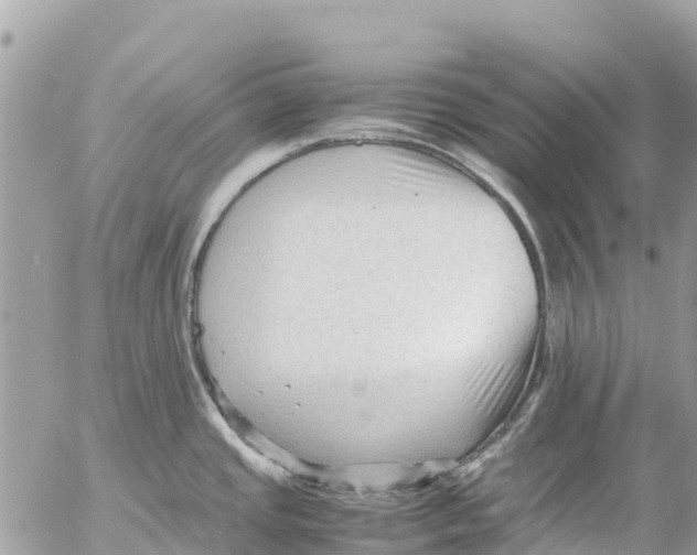 X0000053091437200508081259