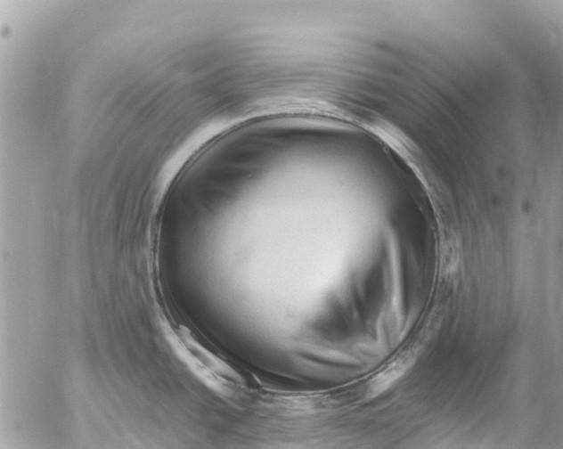 X0000053091438200508081259