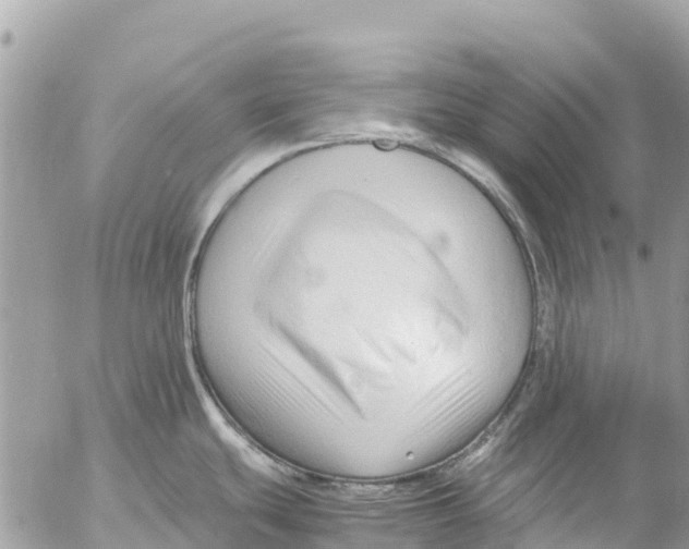 X0000053091439200508081259