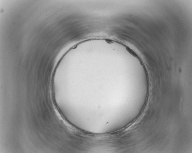 X0000053091440200508081259