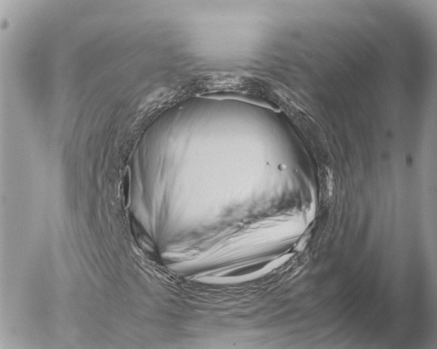 X0000053091441200508081259