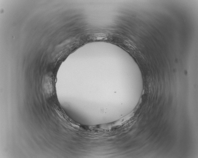 X0000053091442200508081259