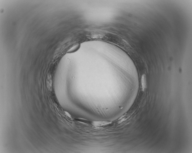 X0000053091443200508081259