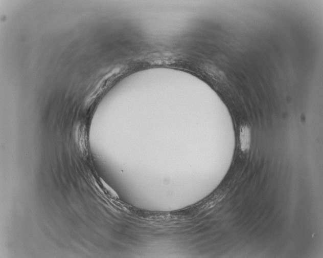 X0000053091444200508081259