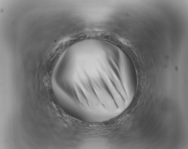 X0000053091445200508081259