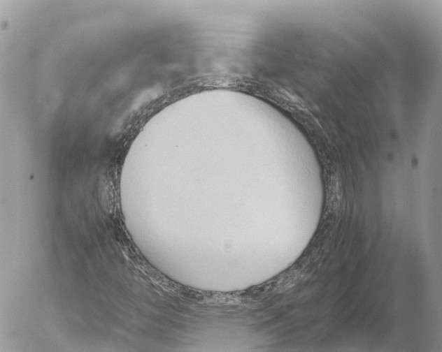 X0000053091446200508081258