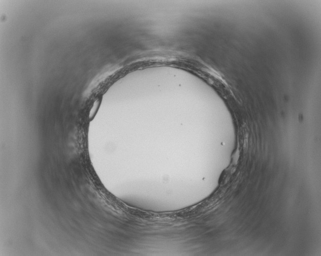 X0000053091448200508081258