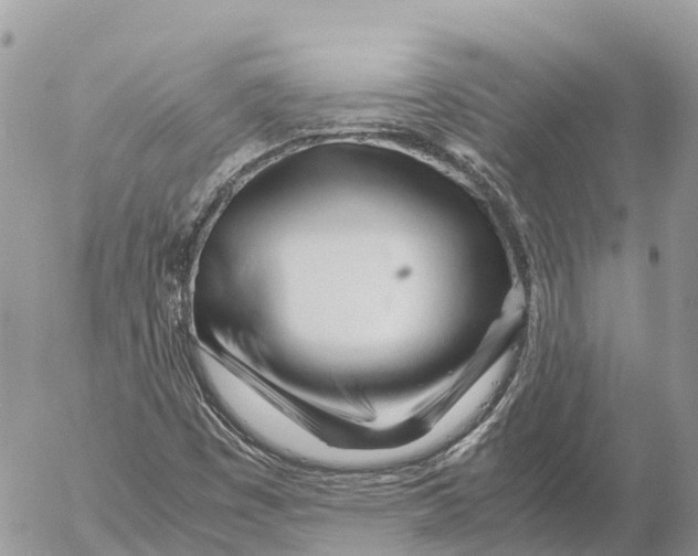 X0000053091449200508081258