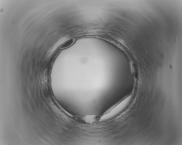 X0000053091450200508081258