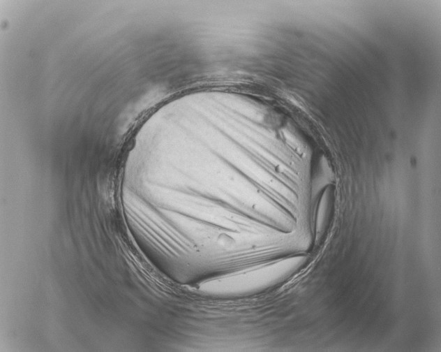 X0000053091451200508081258