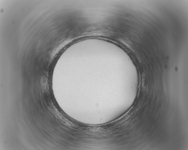 X0000053091452200508081258