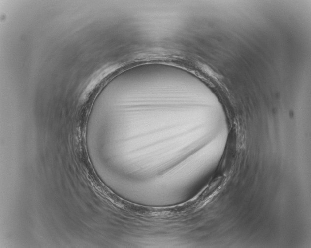 X0000053091453200508081258