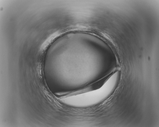 X0000053091455200508081258