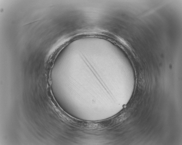 X0000053091456200508081258