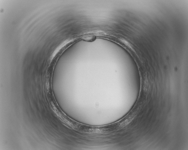 X0000053091458200508081258