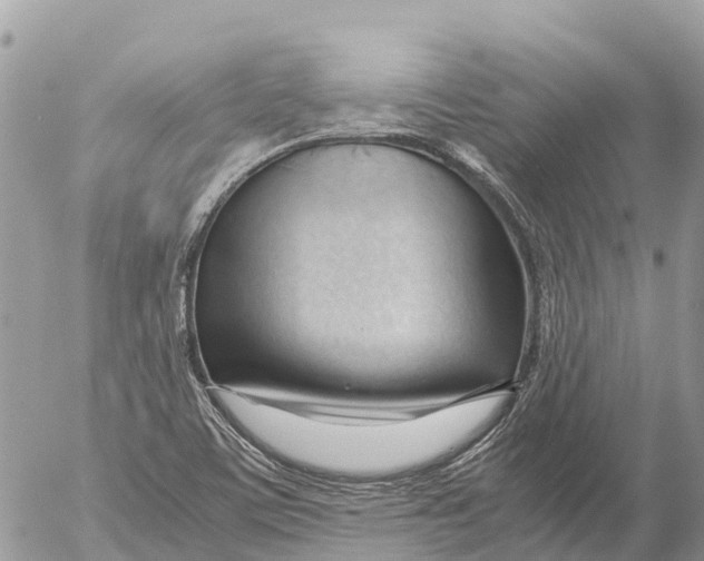 X0000053091459200508081258