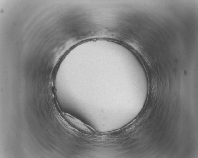 X0000053091460200508081258