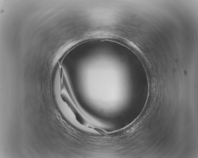 X0000053091461200508081258