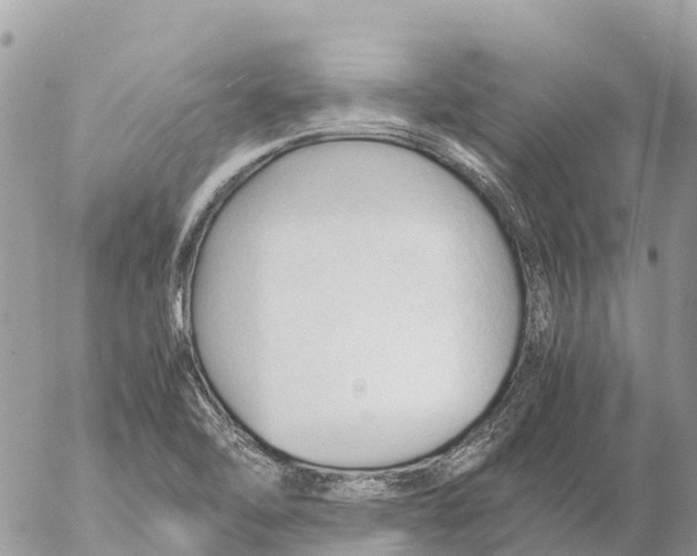 X0000053091462200508081258