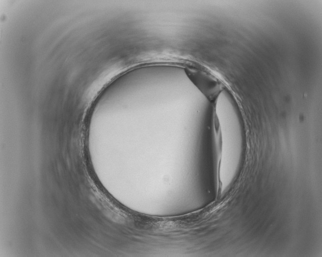 X0000053091463200508081258