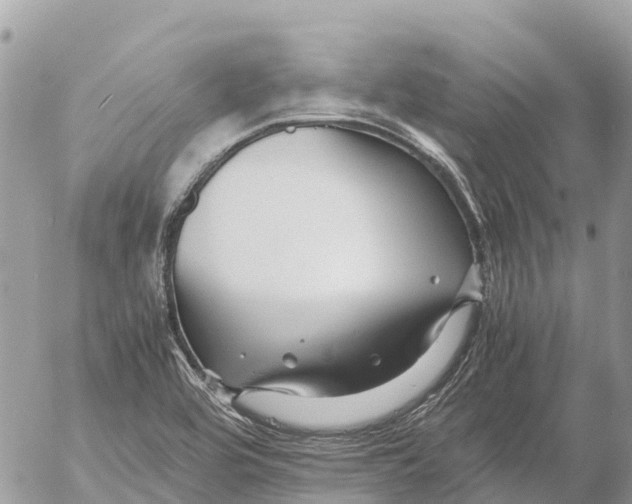 X0000053091464200508081258