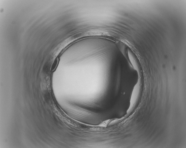 X0000053091465200508081258