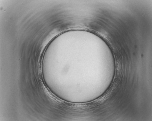 X0000053091466200508081258