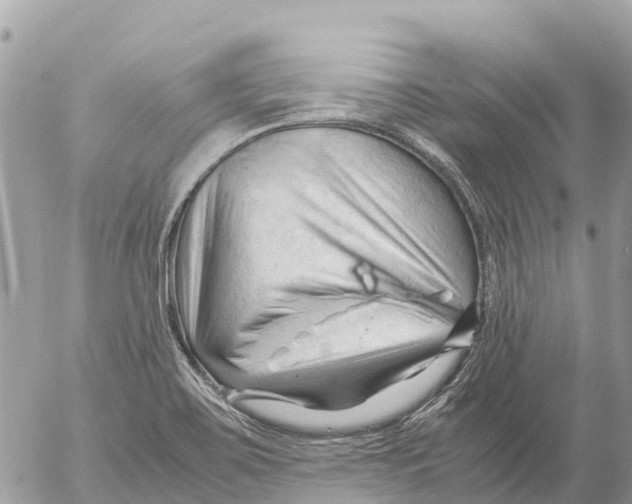 X0000053091467200508081258