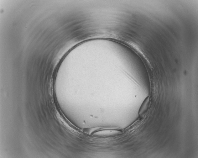 X0000053091468200508081258