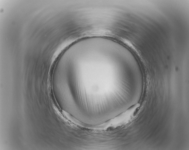 X0000053091469200508081258