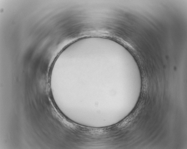 X0000053091470200508081258